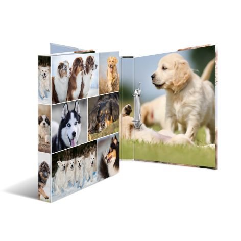 HERMA Ringbuch "Animals" - Hunde, DIN A4, 2-Ring-Mechanik (6504158)