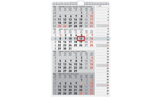 rido idé Wandkalender 4-Monatskalender Kombi Planer 4, 2020 (6250154)