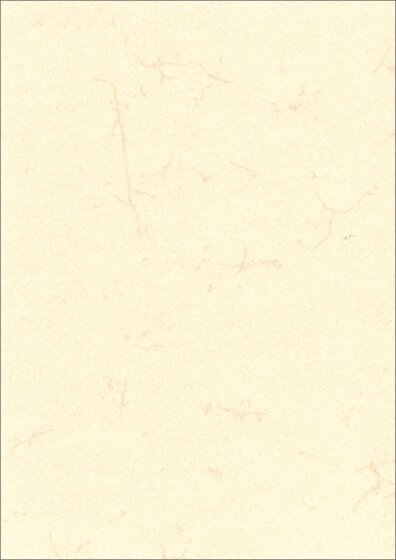 Dokumentenpapier (Elefantenhautpapier), 190g/qm, weiß, DIN