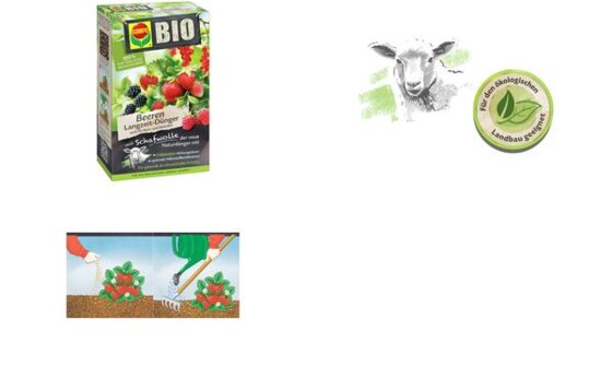 COMPO BIO Beeren Langzeit-Dünger mit Schafwolle, 2 kg (60010088)