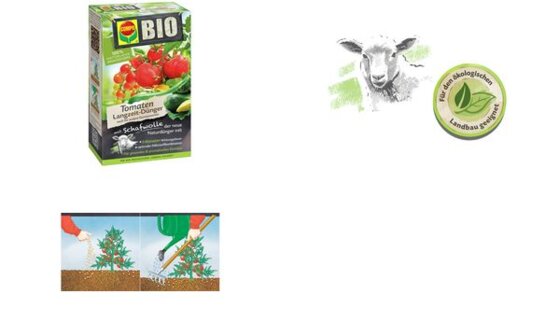 COMPO BIO Tomaten Langzeit-Dünger mit Schafwolle, 750 g (60010089)