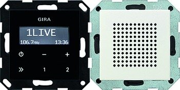 Gira Einsatz-Radio rws glz UP System 55 228003 Basis+zentr.Abdeckpl