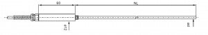 Pt100, Kl. 1/10 DIN -200...+450 °C 300 x 3,0 mm und Lemo-Stecker