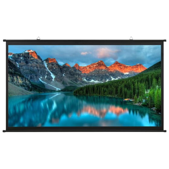 Beamer Leinwand 100" 16:9 - 1