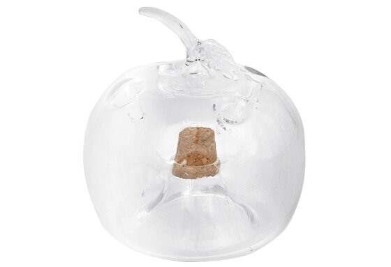 Fruchtfliegenfalle Apfel 9,5 x 9,4 cm Glas transparent - 1